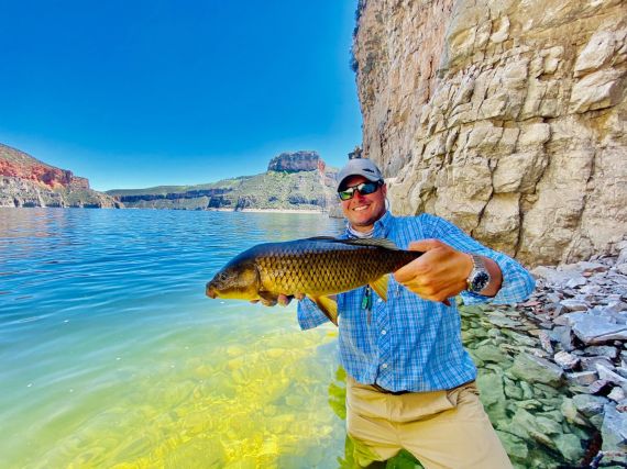 Bighorn River fly fishing for Carp